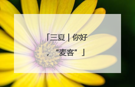 三夏｜你好，“麦客”