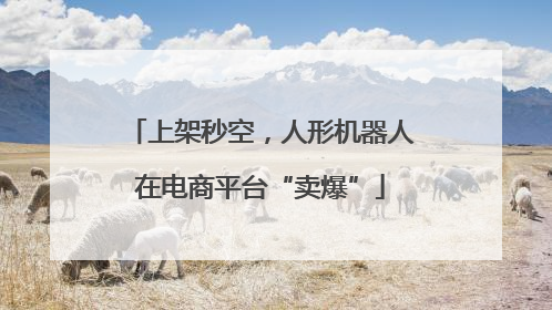 上架秒空，人形机器人在电商平台“卖爆”