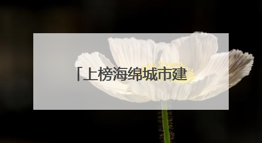 上榜海绵城市建设典型项目清单 重庆大田湾体育场既有“弹性”又会“呼吸”