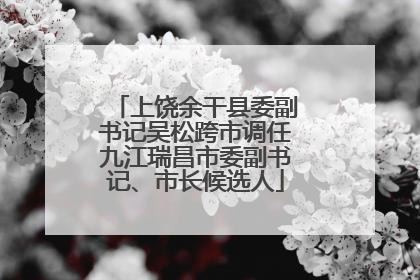 上饶余干县委副书记吴松跨市调任九江瑞昌市委副书记、市长候选人