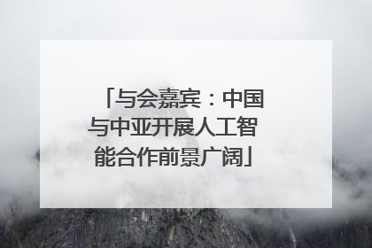 与会嘉宾：中国与中亚开展人工智能合作前景广阔