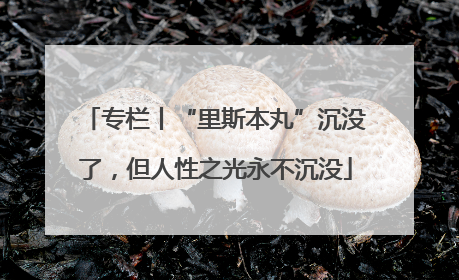 专栏丨“里斯本丸”沉没了，但人性之光永不沉没