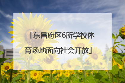 东昌府区6所学校体育场地面向社会开放