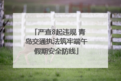 严查8起违规 青岛交通执法筑牢端午假期安全防线