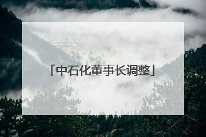 中石化董事长调整