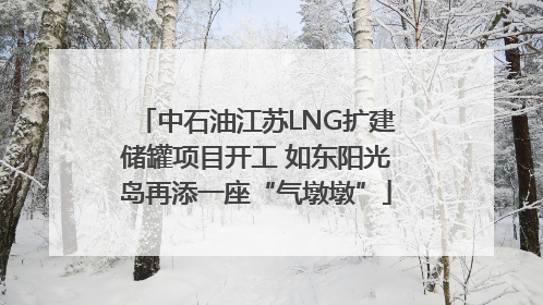 中石油江苏LNG扩建储罐项目开工 如东阳光岛再添一座“气墩墩”