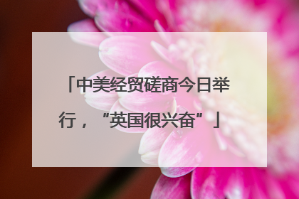 中美经贸磋商今日举行，“英国很兴奋”