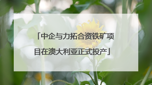 中企与力拓合资铁矿项目在澳大利亚正式投产