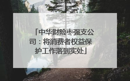 中华财险枣强支公司：将消费者权益保护工作落到实处