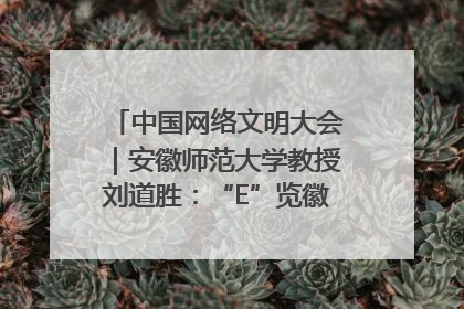 中国网络文明大会｜安徽师范大学教授刘道胜：“E”览徽风，构筑中华民族共有精神家园