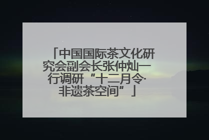 中国国际茶文化研究会副会长张仲灿一行调研“十二月令·非遗茶空间”