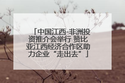 中国江西-非洲投资推介会举行 赞比亚江西经济合作区助力企业“走出去”