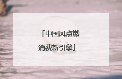 中国风点燃消费新引擎