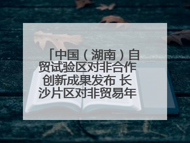 中国（湖南）自贸试验区对非合作创新成果发布 长沙片区对非贸易年均增长141%