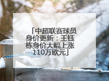 中超联赛球员身价更新：王钰栋身价大幅上涨110万欧元
