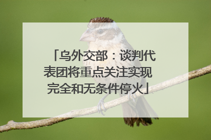 乌外交部：谈判代表团将重点关注实现完全和无条件停火