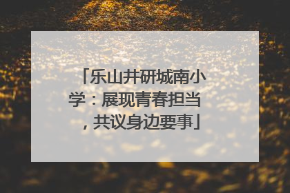 乐山井研城南小学：展现青春担当，共议身边要事
