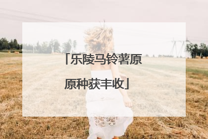 乐陵马铃薯原原种获丰收