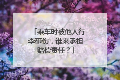 乘车时被他人行李砸伤，谁来承担赔偿责任？