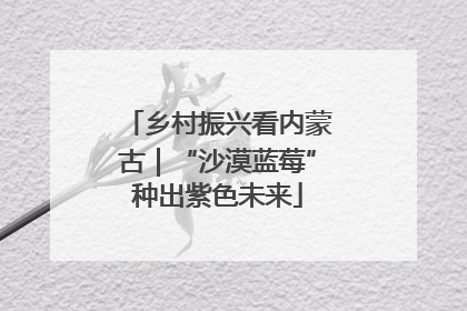 乡村振兴看内蒙古｜“沙漠蓝莓”种出紫色未来