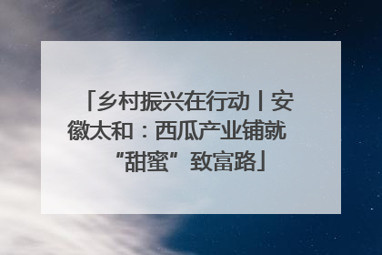 乡村振兴在行动丨安徽太和：西瓜产业铺就“甜蜜”致富路