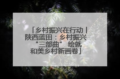 乡村振兴在行动丨陕西蓝田：乡村振兴 “三部曲” 绘就和美乡村新画卷