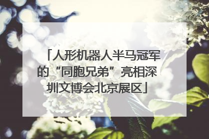 人形机器人半马冠军的“同胞兄弟”亮相深圳文博会北京展区