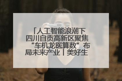 人工智能浪潮下 四川自贡高新区聚焦“车机龙医算数”布局未来产业丨美好生活有“盐”味