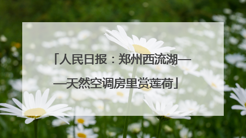 人民日报：郑州西流湖——天然空调房里赏莲荷