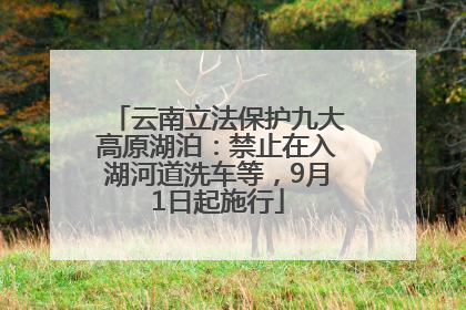 云南立法保护九大高原湖泊：禁止在入湖河道洗车等，9月1日起施行