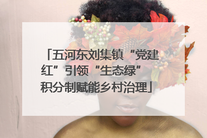 五河东刘集镇“党建红”引领“生态绿” 积分制赋能乡村治理