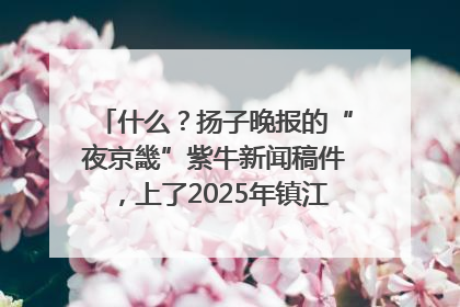 什么？扬子晚报的“夜京畿”紫牛新闻稿件，上了2025年镇江中考模拟卷！