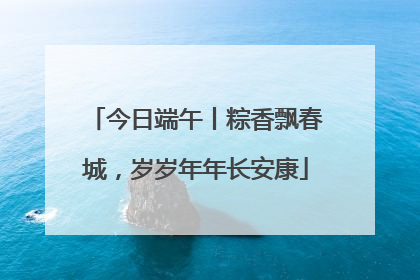 今日端午丨粽香飘春城，岁岁年年长安康
