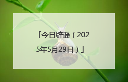 今日辟谣（2025年5月29日）