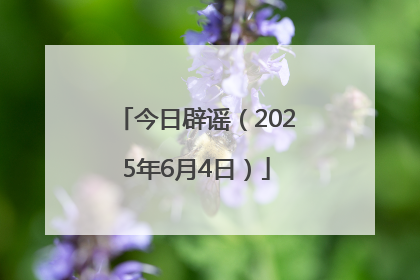 今日辟谣（2025年6月4日）