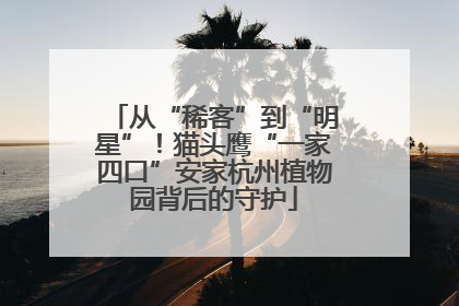 从“稀客”到“明星”！猫头鹰“一家四口”安家杭州植物园背后的守护