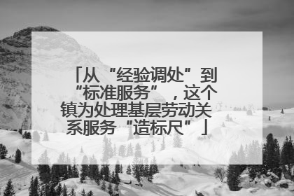 从“经验调处”到“标准服务”，这个镇为处理基层劳动关系服务“造标尺”
