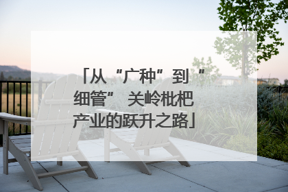 从“广种”到“细管” 关岭枇杷产业的跃升之路