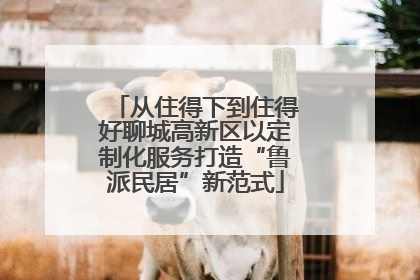 从住得下到住得好聊城高新区以定制化服务打造“鲁派民居”新范式
