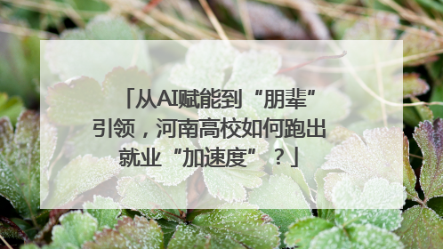 从AI赋能到“朋辈”引领，河南高校如何跑出就业“加速度”？