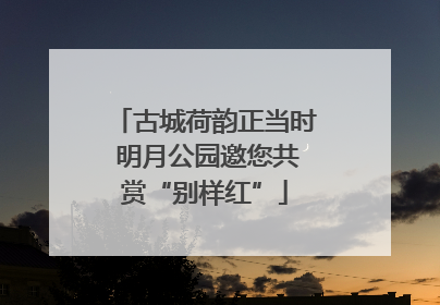 古城荷韵正当时 明月公园邀您共赏“别样红”