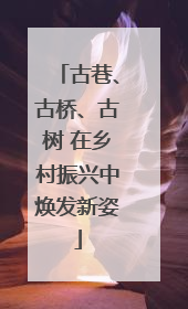古巷、古桥、古树 在乡村振兴中焕发新姿