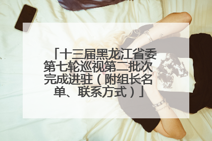 十三届黑龙江省委第七轮巡视第二批次完成进驻（附组长名单、联系方式）
