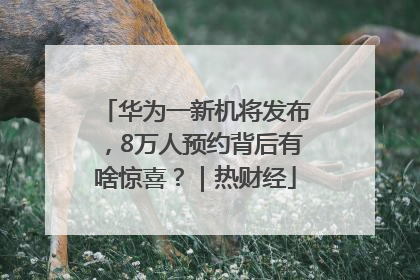 华为一新机将发布，8万人预约背后有啥惊喜？｜热财经