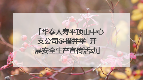 华泰人寿平顶山中心支公司多措并举  开展安全生产宣传活动