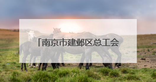 南京市建邺区总工会、双闸街道总工会联合举办“以法护‘新’安全同行”暨劳模宣讲进工地服务活动