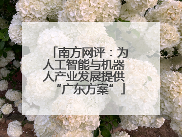 南方网评：为人工智能与机器人产业发展提供“广东方案”