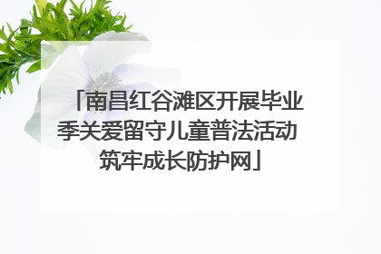 南昌红谷滩区开展毕业季关爱留守儿童普法活动 筑牢成长防护网