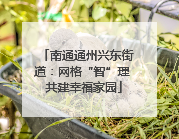 南通通州兴东街道：网格“智”理 共建幸福家园