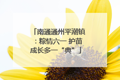 南通通州平潮镇：粽情六一 护苗成长多一“典”